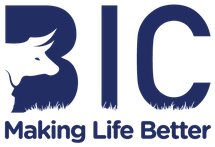 Botswana Insurance Company